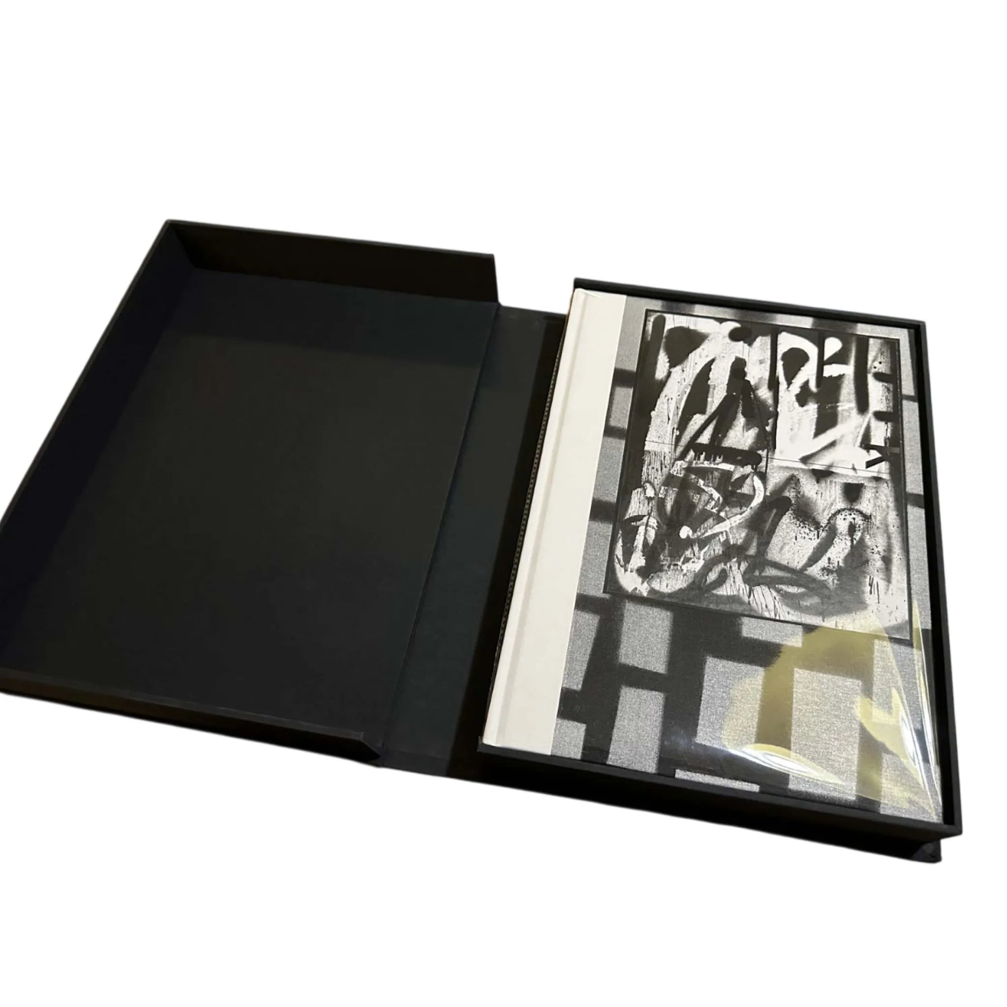 Blackness, White & Light – Hand-painted Edition Adam Pendleton