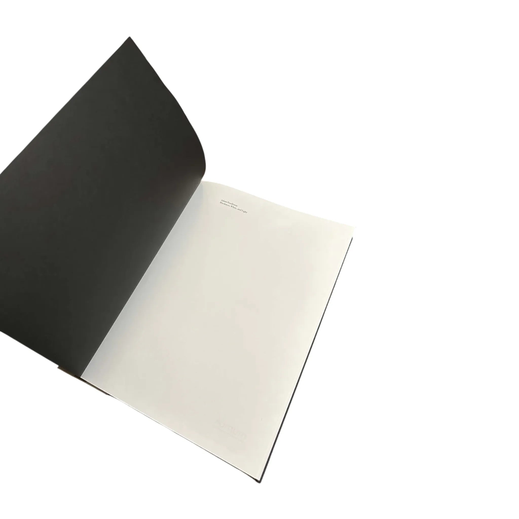 Blackness, White & Light – Hand-painted Edition Adam Pendleton