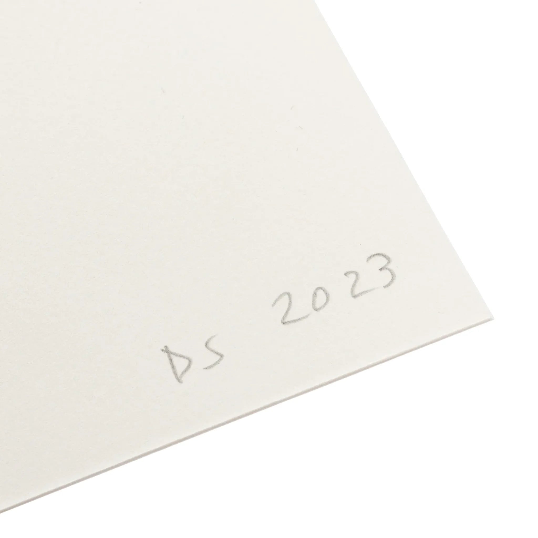 I Destroyed the Ball David Shrigley