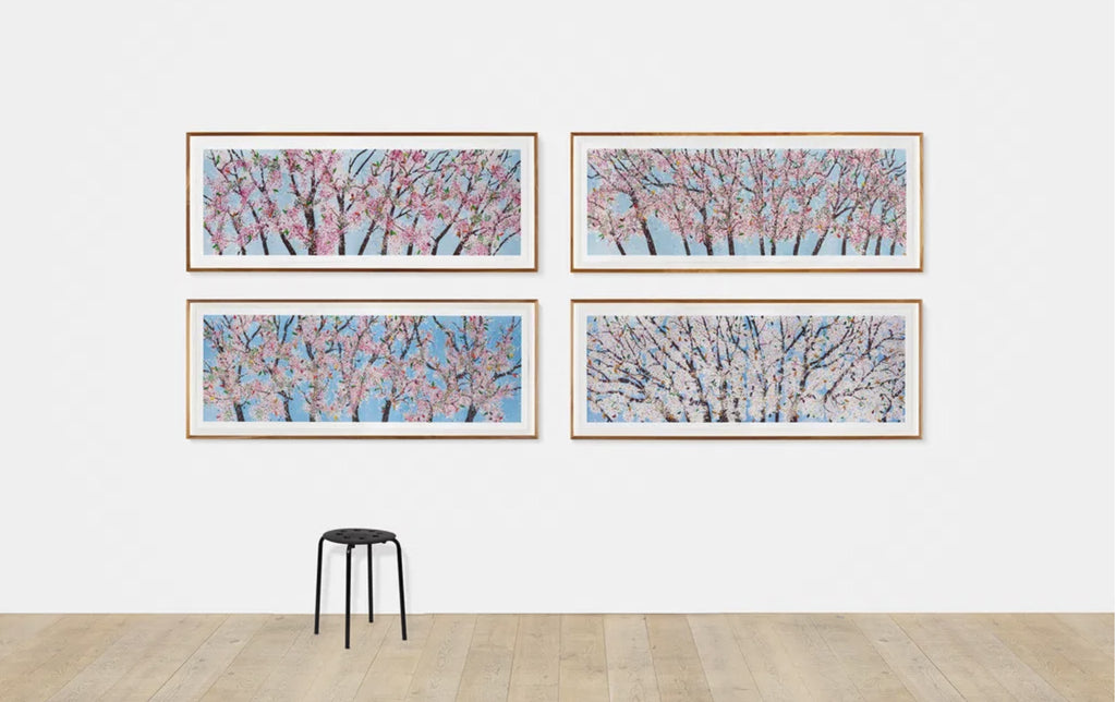 Michael Damien Hirst