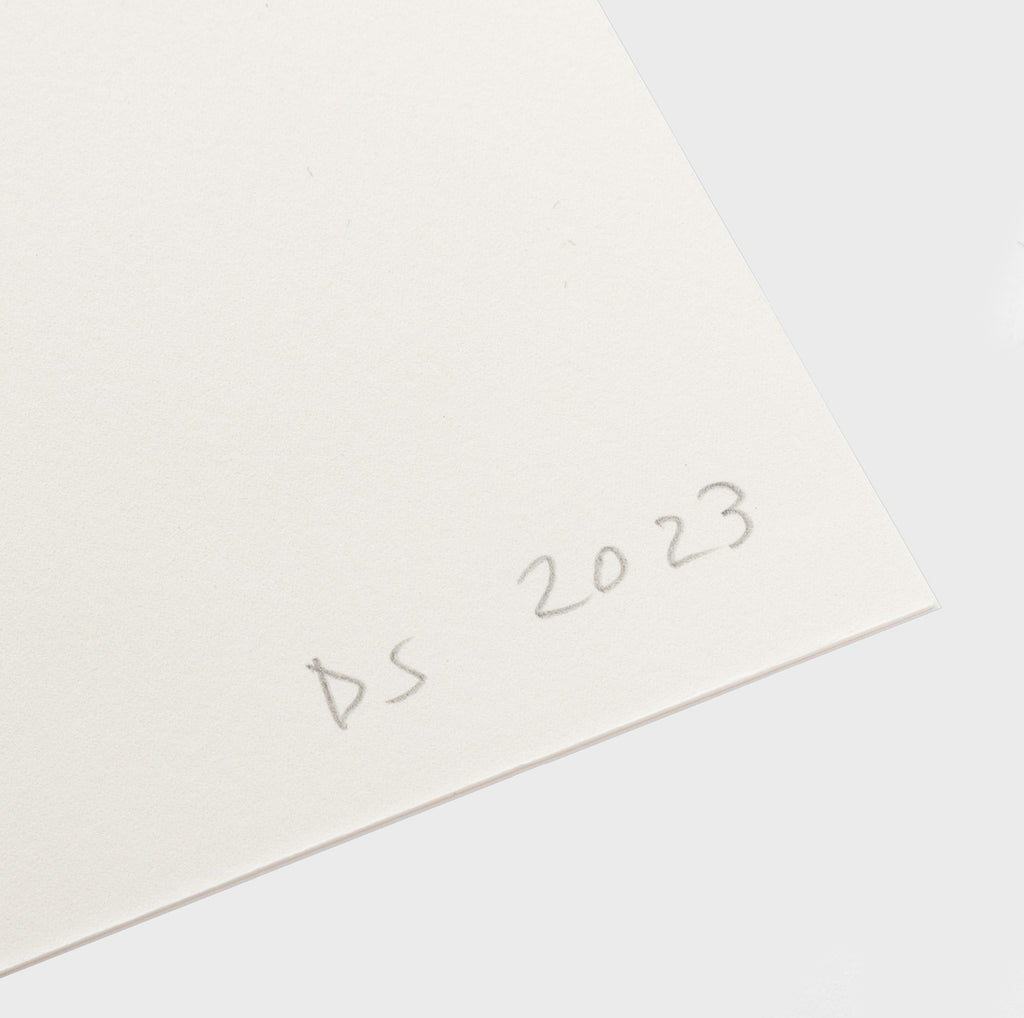 I Destroyed the Ball David Shrigley