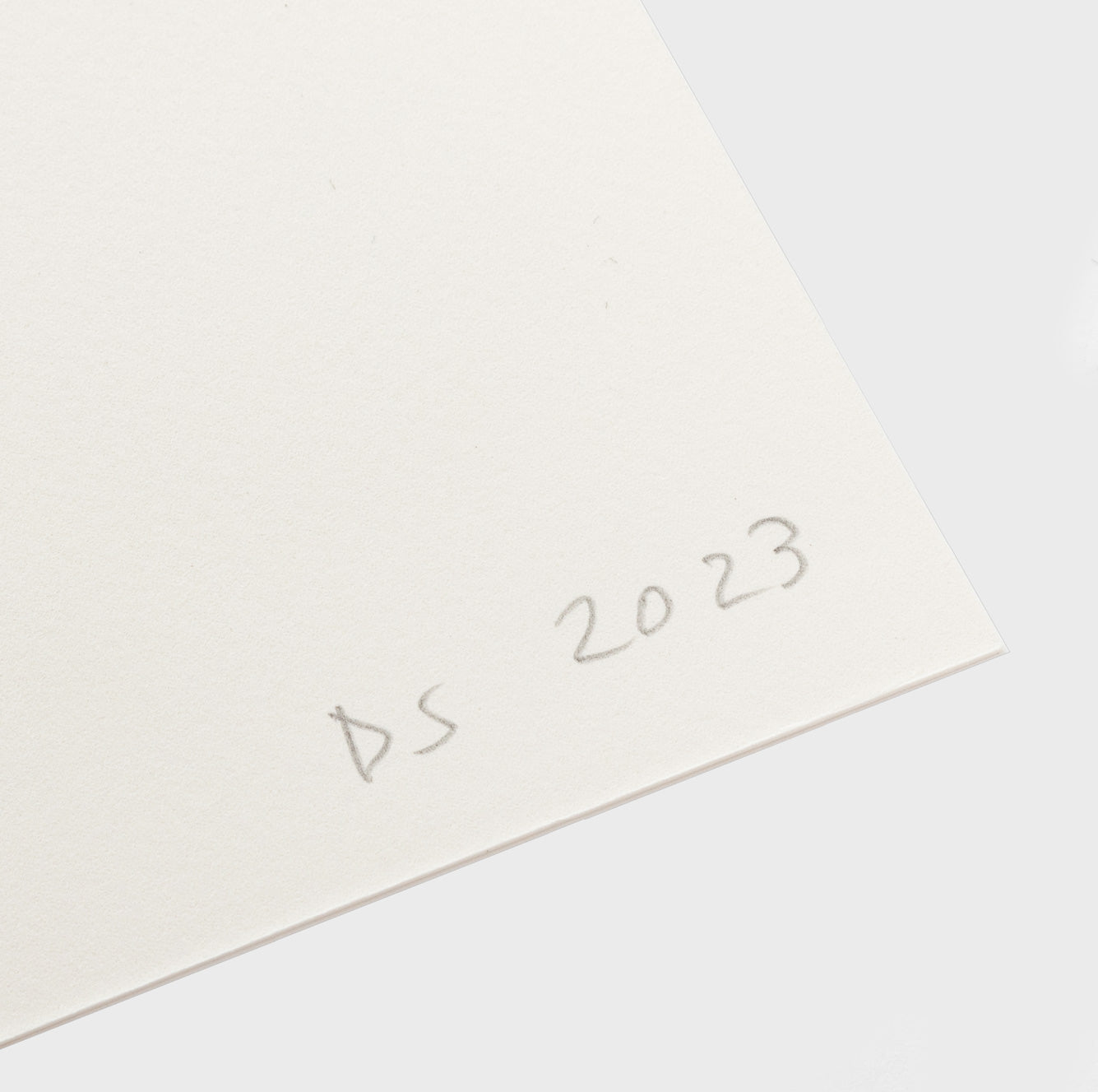 I Destroyed the Ball David Shrigley