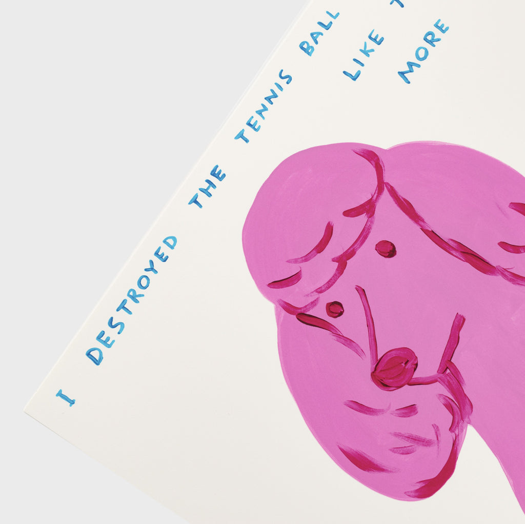 I Destroyed the Ball David Shrigley