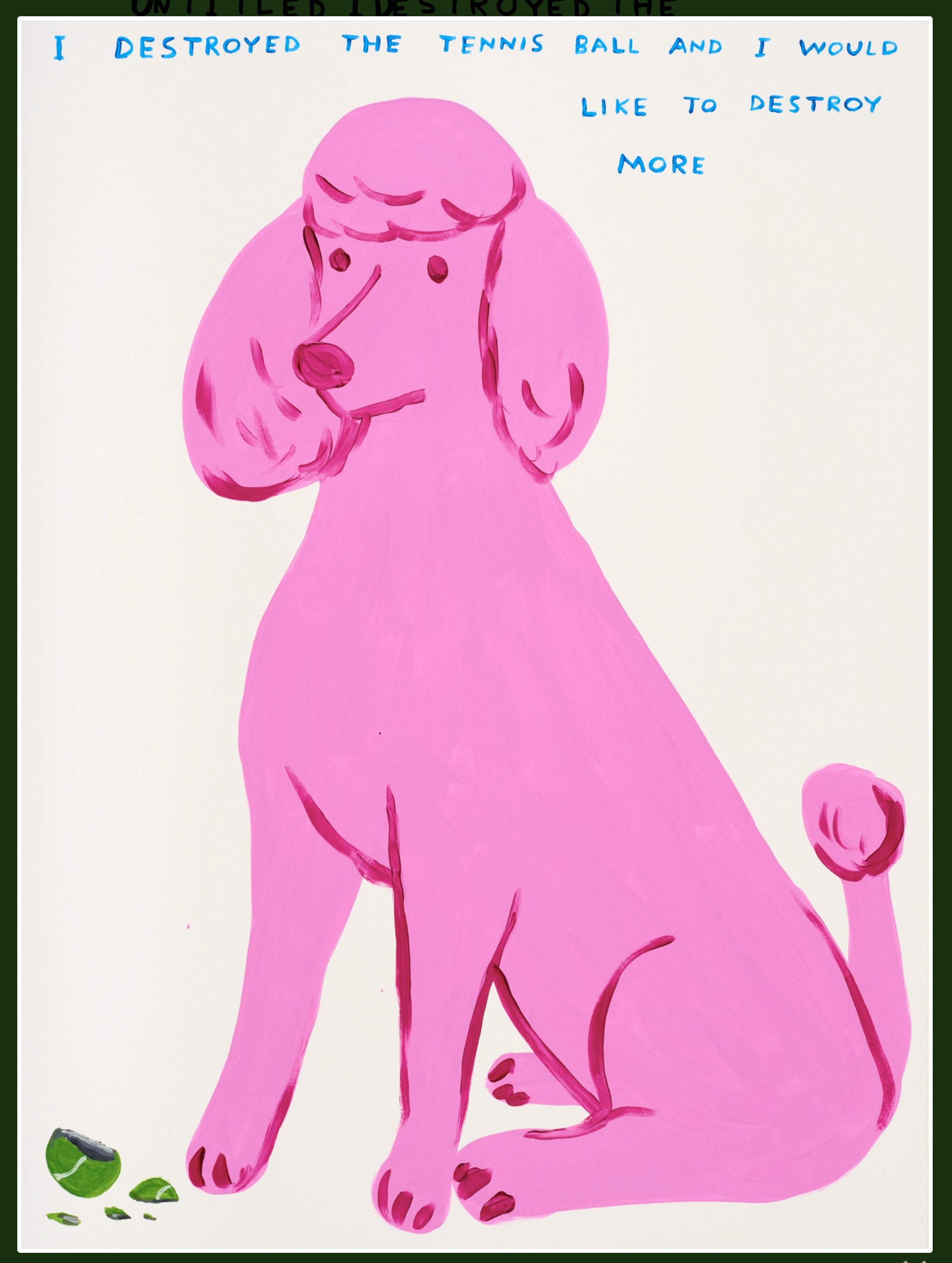 I Destroyed the Ball David Shrigley