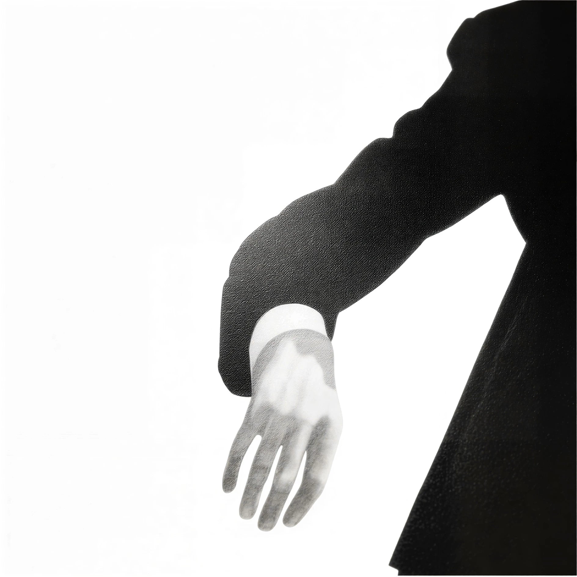 Untitled (Eric from Men In the Cities) Robert Longo